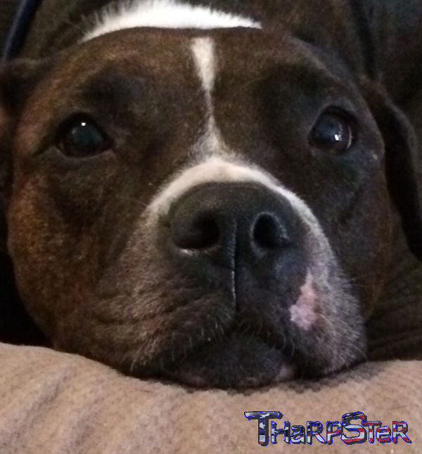 Stop Holding Back And Set Yourself Free