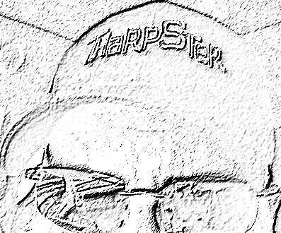 From Fetch to Firearms to Flexing