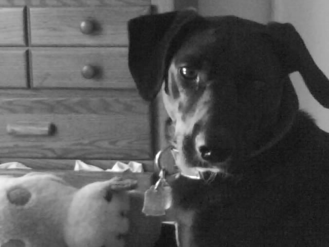 A Full House For Faith