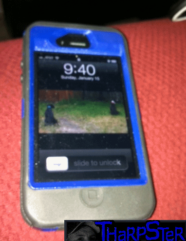 Faith & The Impossible Chicken