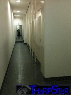 Open Doors