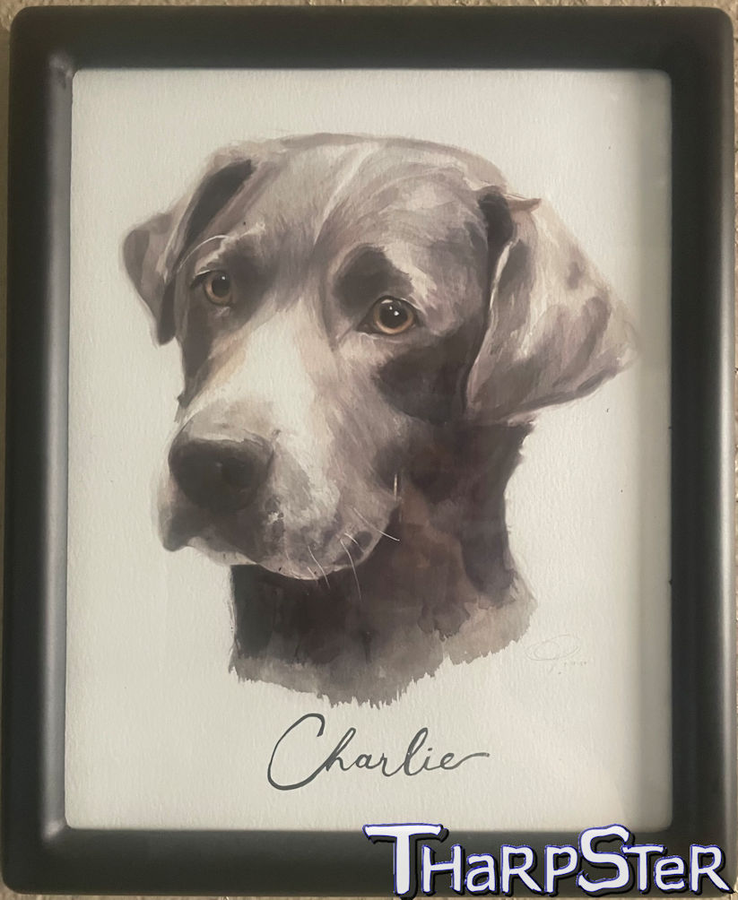 Three Years, Six Months, Three Days